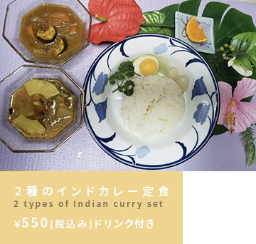 2種のインドカレー定食