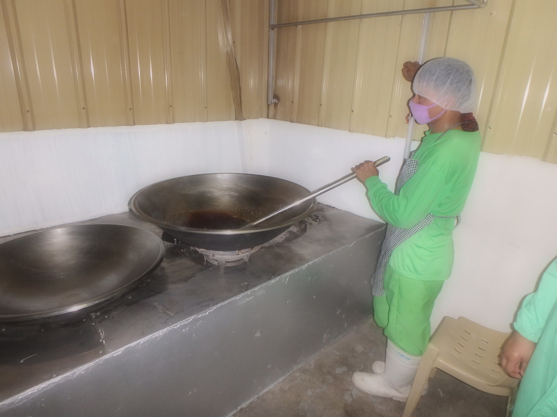 南国に広がる椰子（ココナッツ）の光と影