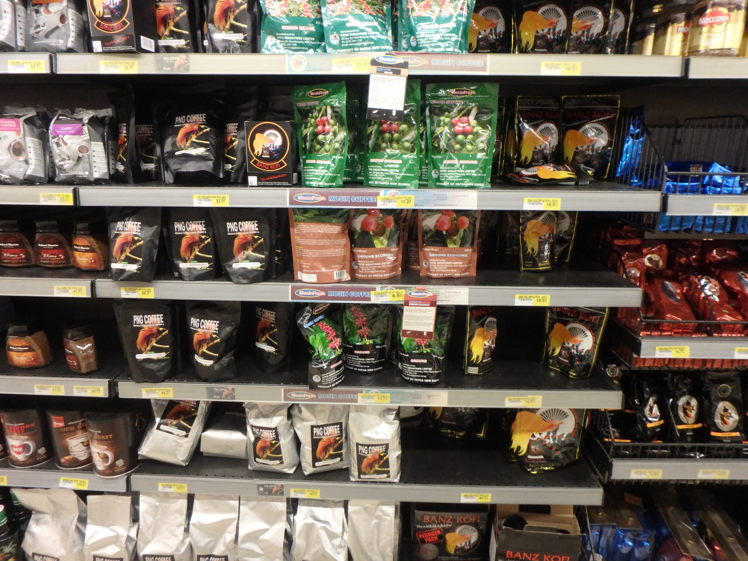 海を渡る「コーヒーの木」