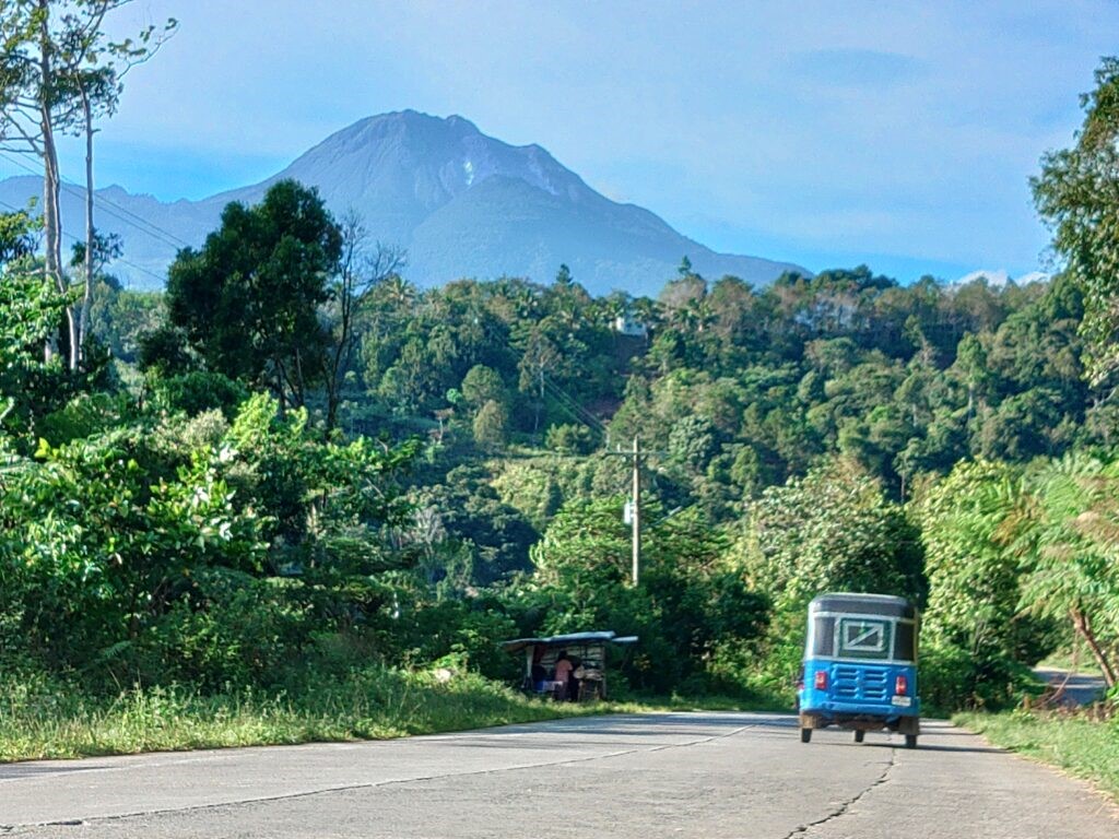 幻のミルンバコーヒー                                                                                                                                 ～Forestar Coffee ShopからPond Owl Star Coffee Shopに至った経緯～