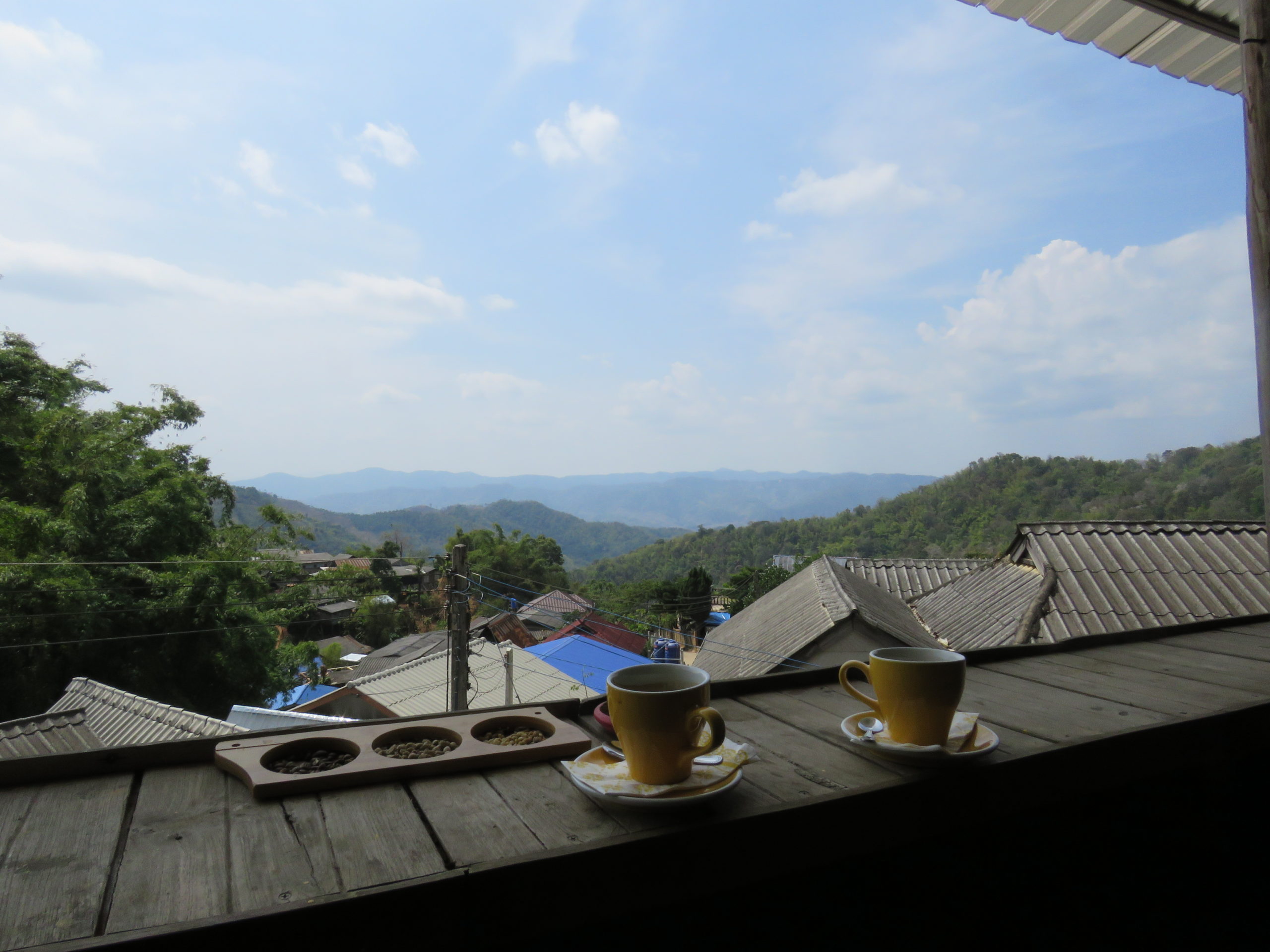 麝香（じゃこう）猫の珈琲豆